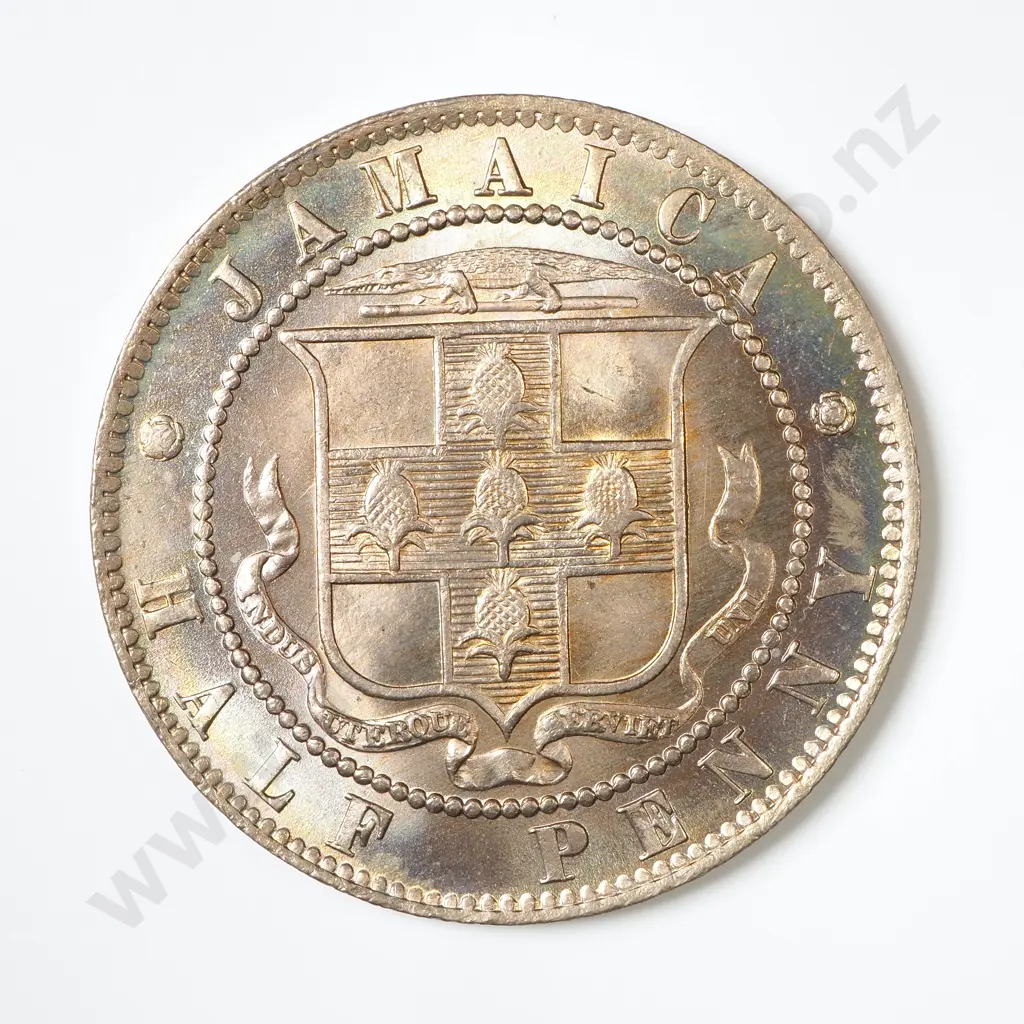 Jamaica 1893 Half Penny Image 1++