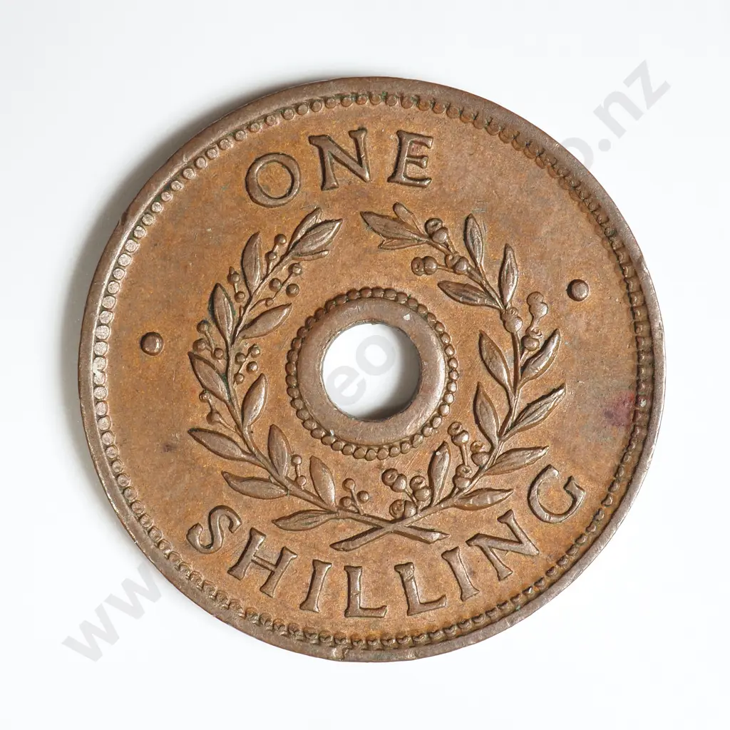 NZ Internman Camp Shilling Token Image 1++