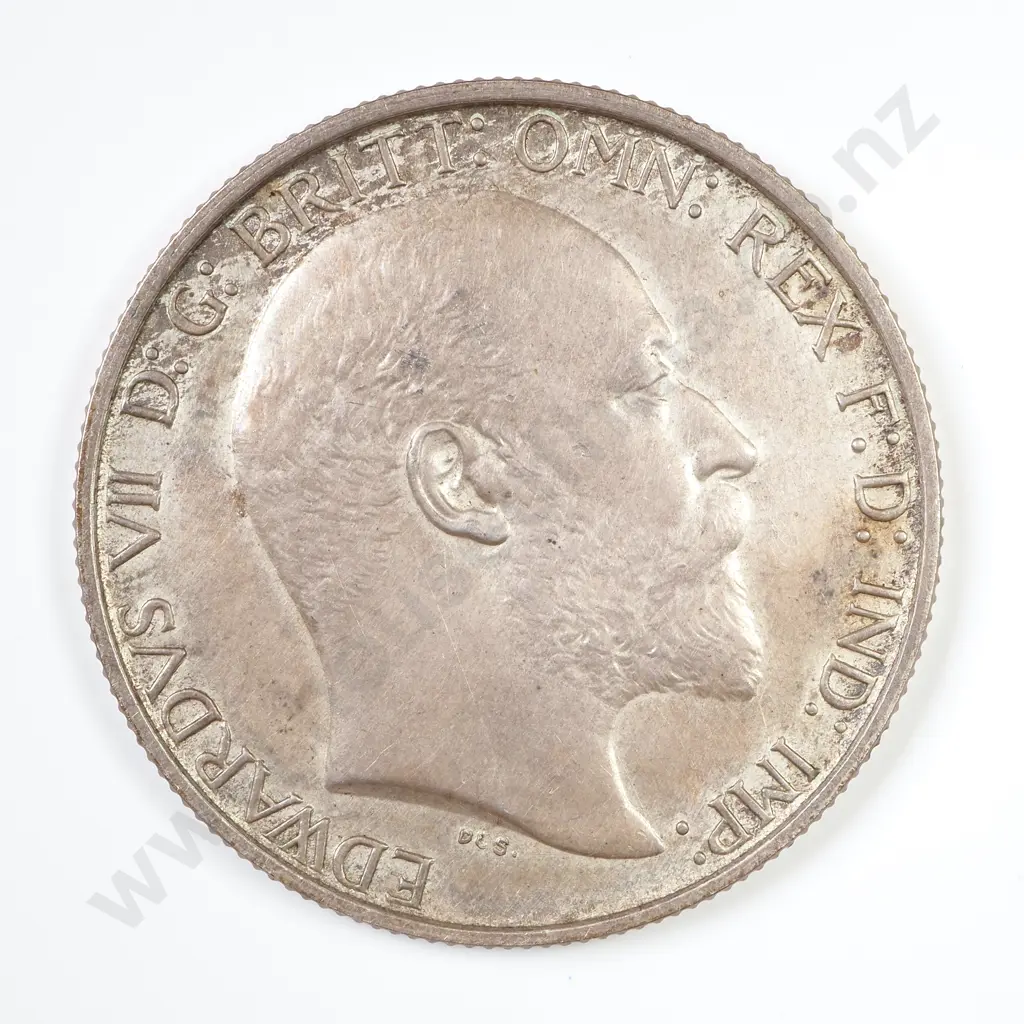 GB 1902 Matte Proof Florin Image 1++