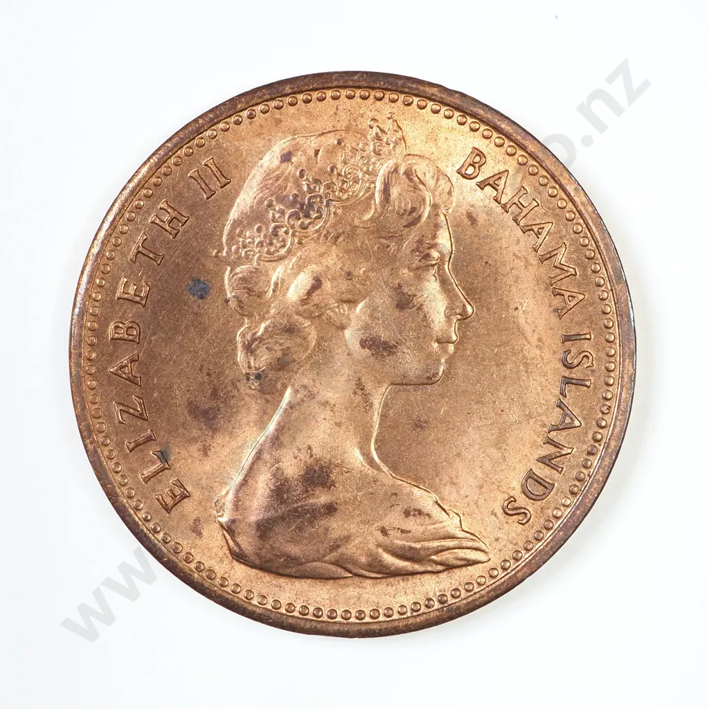 NZ 1967 Bahama Mule Image 1++