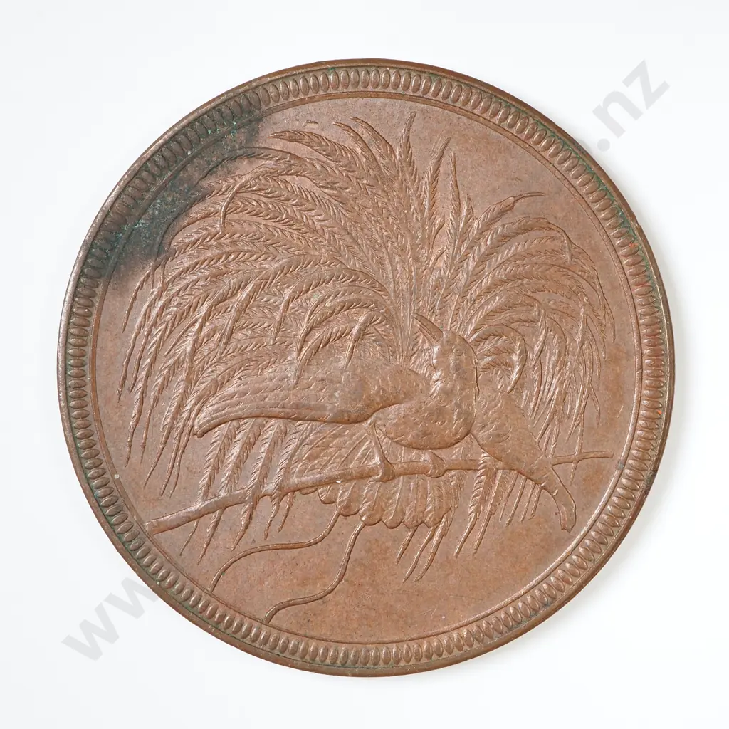 German New Guinea 1894 10 Pfennig Image 1++