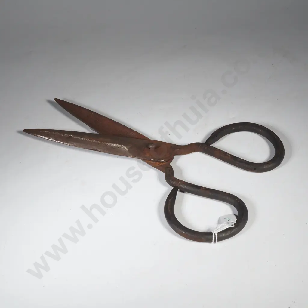 Sheep Shearing Scissors Image 1++