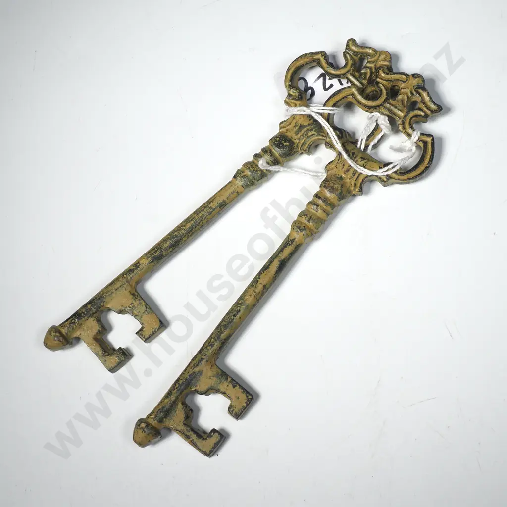 Pair of Keys Image 1++