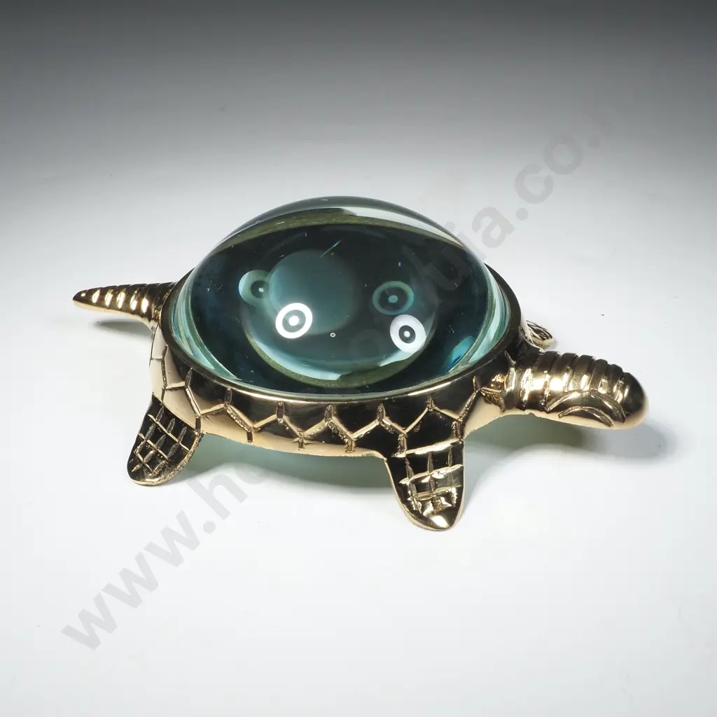 Turtle Magnifying Glass Image 1++