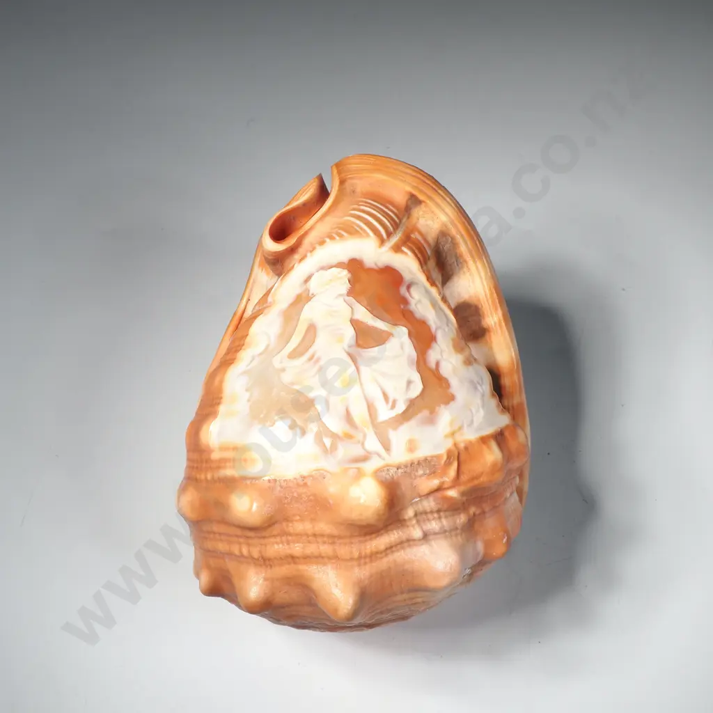 Antique Italian Carved Cameo Shell Lamp Cover Image 1++