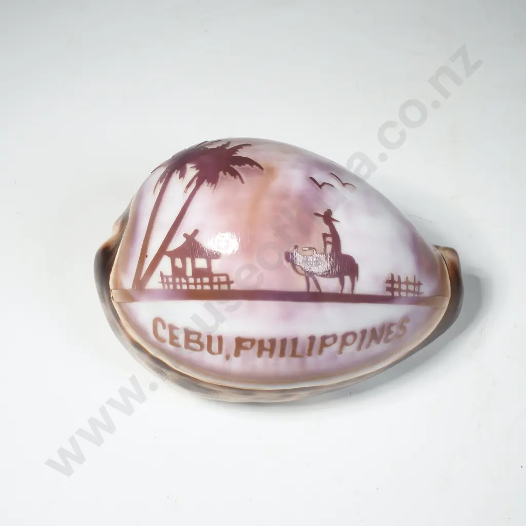 Carved Souvenir Cowrie Shell - Cebu, Philppines Image 1++