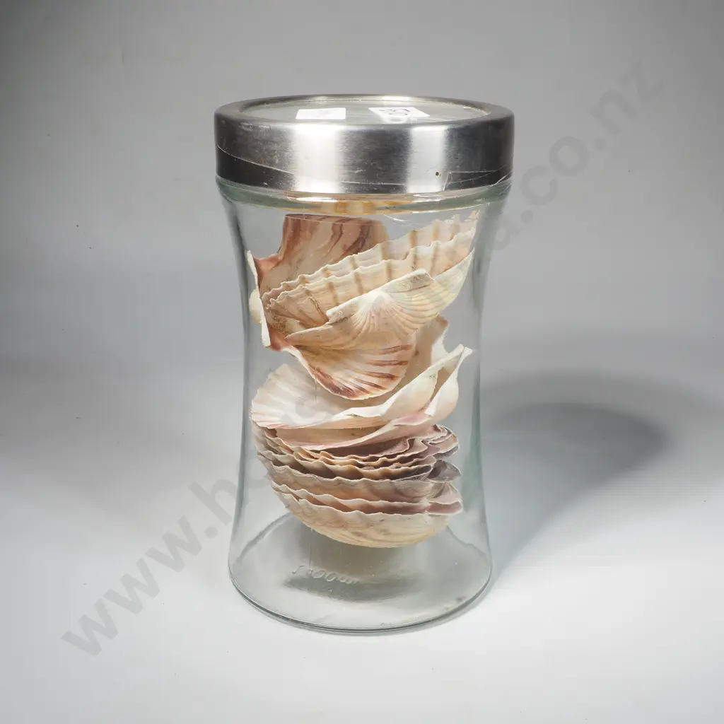 1400ml Glass & Metal Storage Jar Containing a Collection of Scallop Shells Image 1++