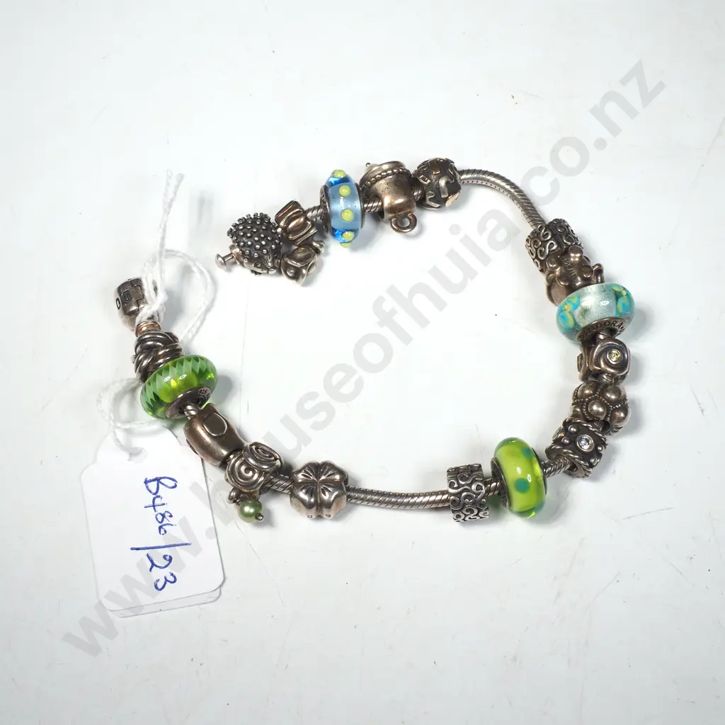 Cased Sterling Silver Pandora Bracelet & Charms Image 1++