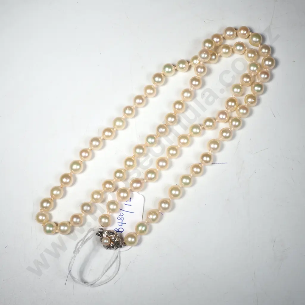 Cultured Pearl Necklace w Sterling Silver Clasp Image 1++