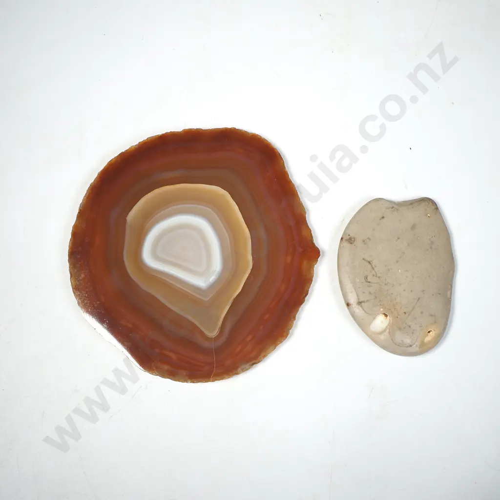 Agate Slice & Hag Stone Image 1++