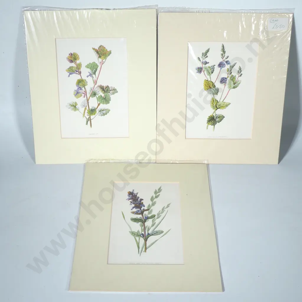Three Botanical Prints by Frederick Edward Hulme Image 1++