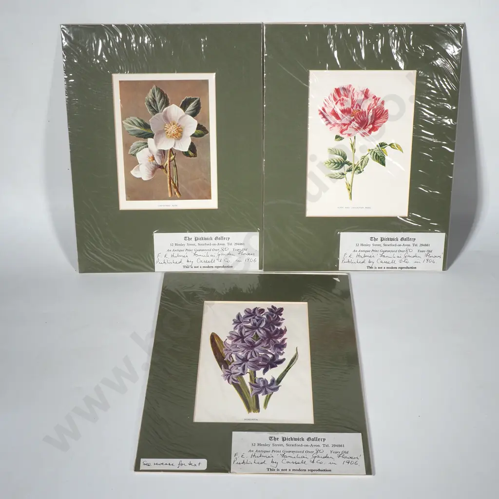 Three Botanical Prints 'Familiar Garden Prints' Published by Cassells & Co 1906 Image 1++