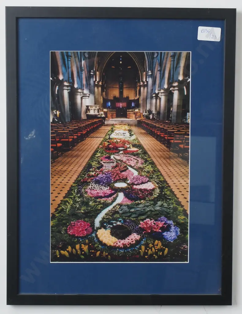 Three Framed Photographs - Two Christchurch & Other Milford Sound & Donkey in Boots Image 1++