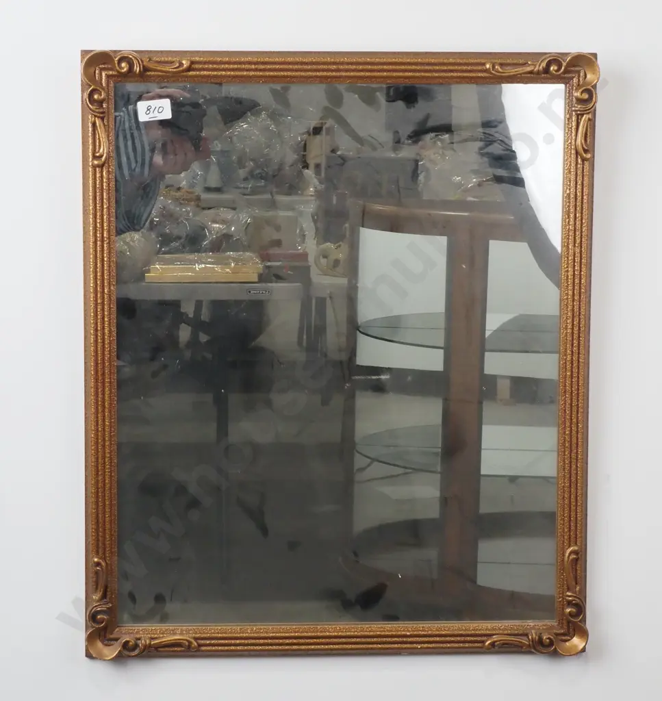 Framed Mirror. Image 1++