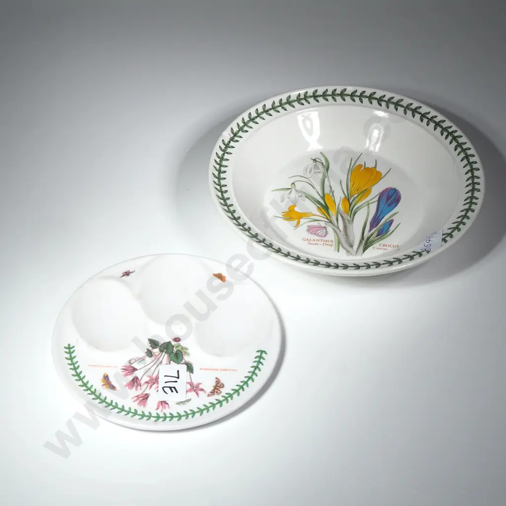 Portmeiron Botanic Garden Pasta Bowl (a/f) & Melamine Devilled Egg Plate Image 1++