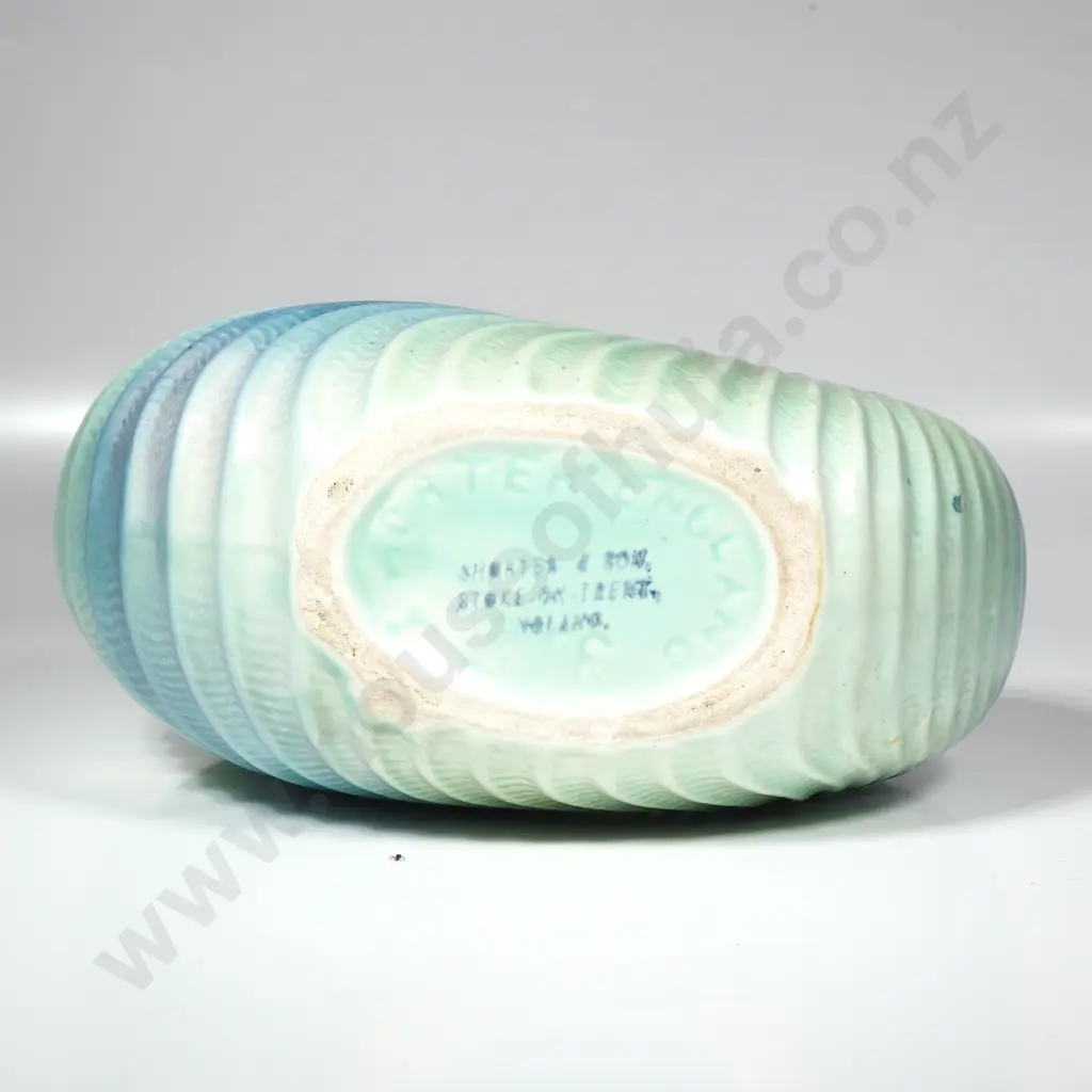 Mid Century Shorter Ware Nautilus Shell Vase w Ribbed Spiral Design Image 1++