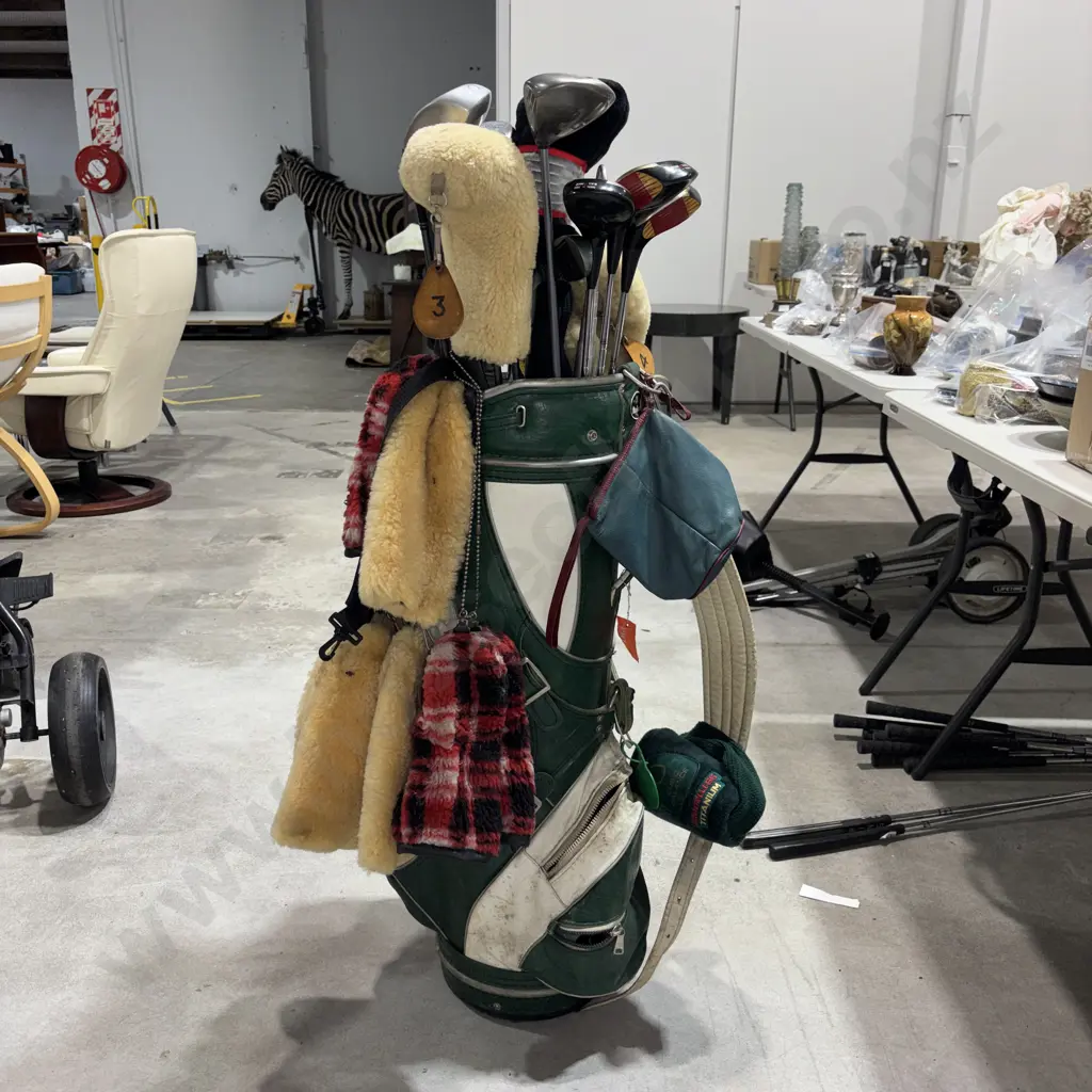 Large Assortment of Golf Woods & Drivers in a Macgregor Golf Bag in Green & White Vinyl Bag Image 1++