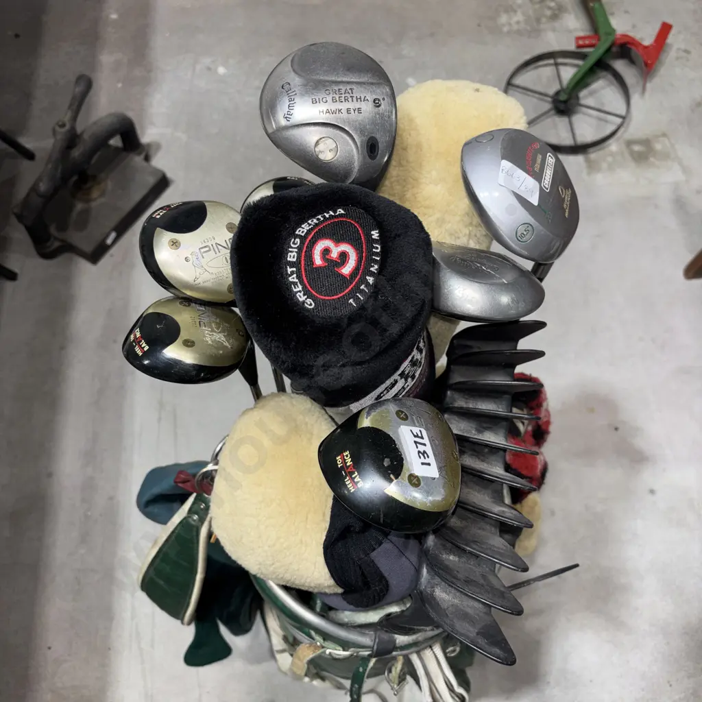 Large Assortment of Golf Woods & Drivers in a Macgregor Golf Bag in Green & White Vinyl Bag Image 1++