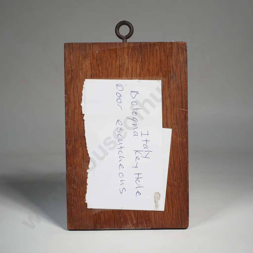 Old Italian Bologna Key Hole Door Escutcheon on Board Image 1++