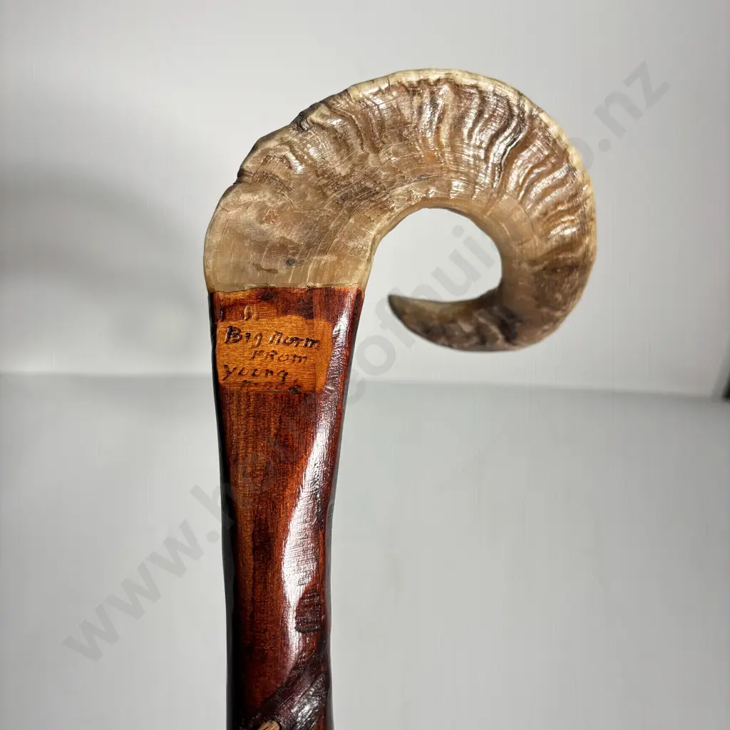 Rams Horn Handle Walking Stick Image 1++