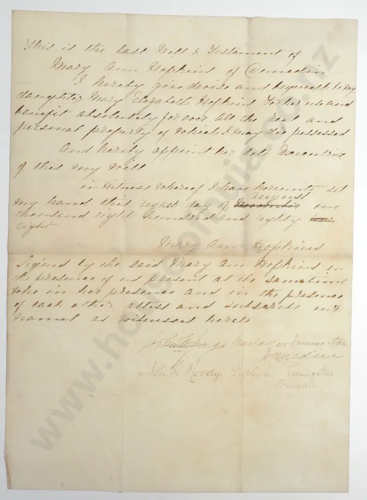 Will - Dunedin New Zealand - undated Image 1++