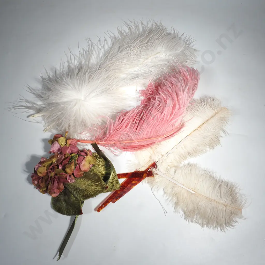 Assorted Feathers w 1950s Corsage Image 1++