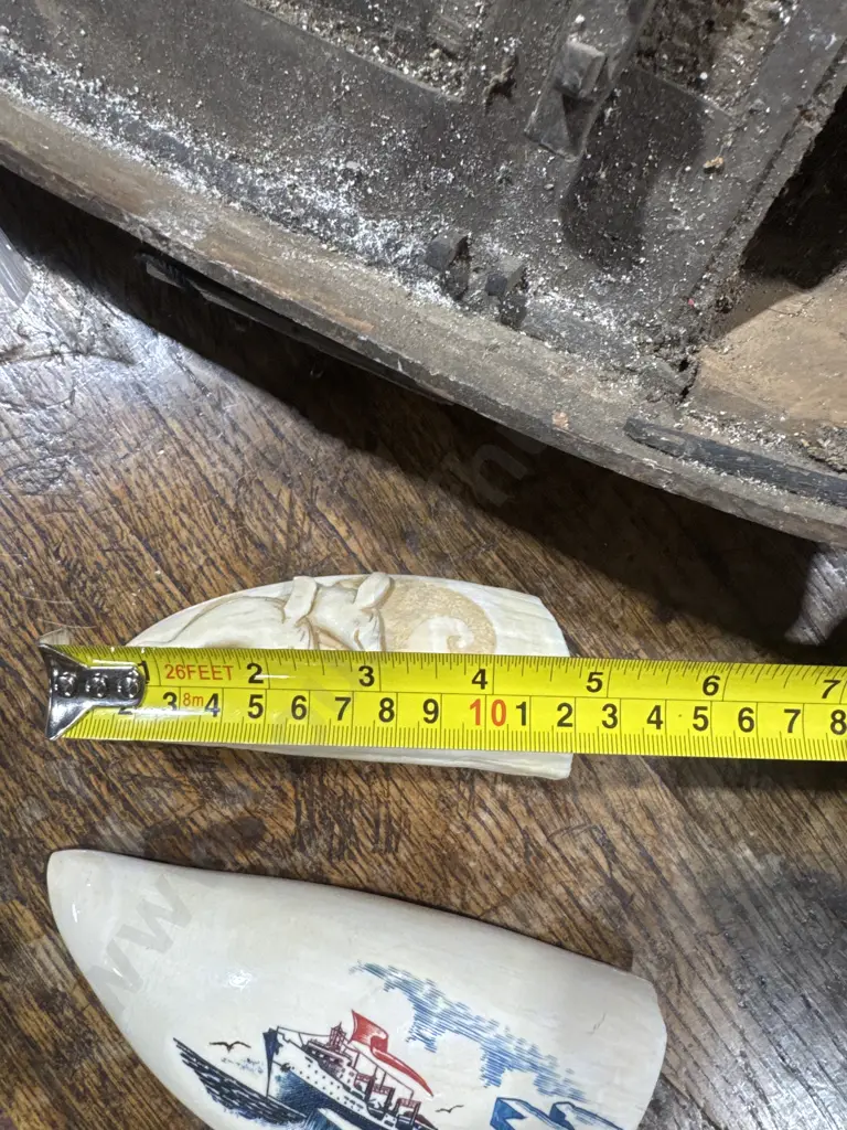One Medium Scrimshaw Sperm Whale Tooth w Two Whales in Relief Image 1++