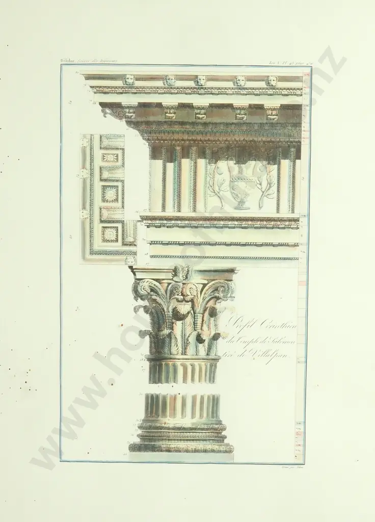 Hand Coloured Neoclassical Architectural Print w a Detailed Corinthean Column Capital & Entablature Image 1++