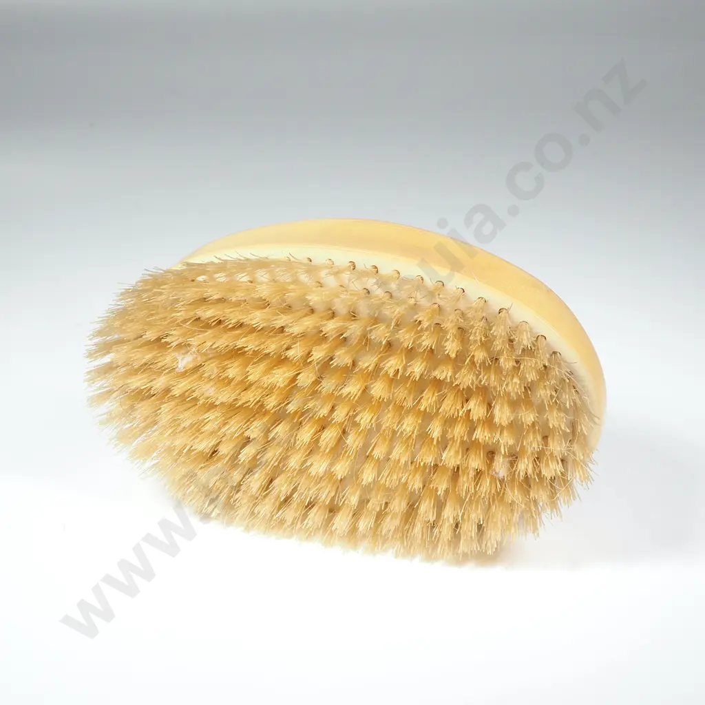 Bone Handled Clothes Brush Image 1++