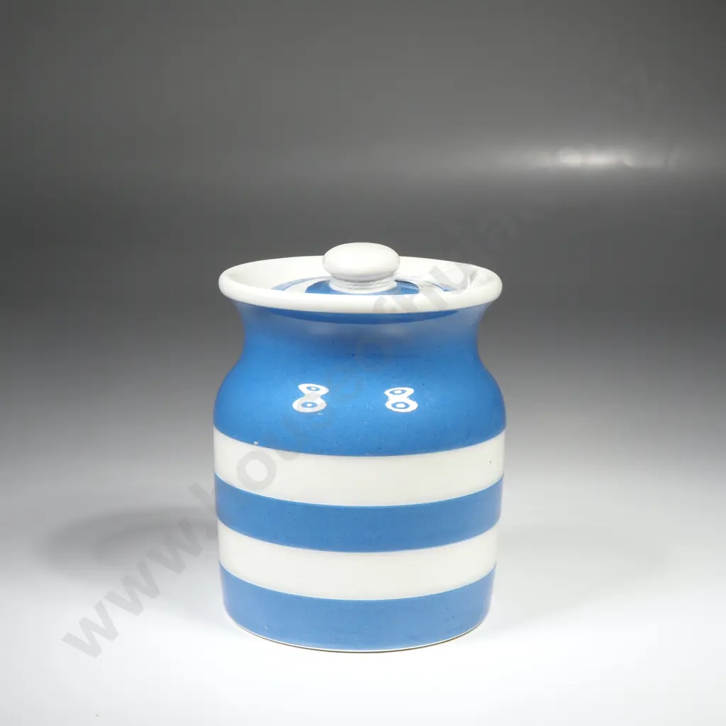 T G Green Vintage Cornish Ware Spice Jar w Green Stamp Image 1++