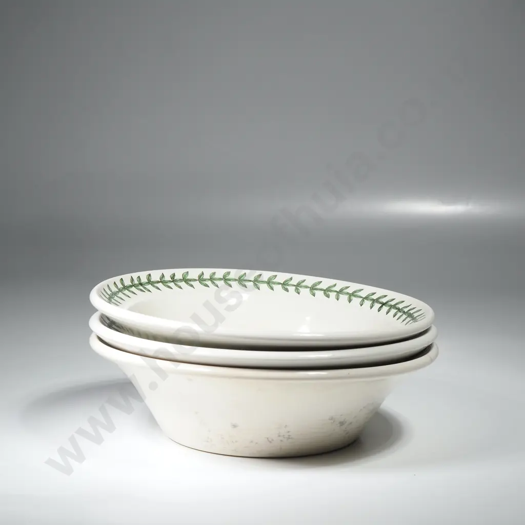Three Portmeirion Botanic Garden Oatmeal Bowls Image 1++