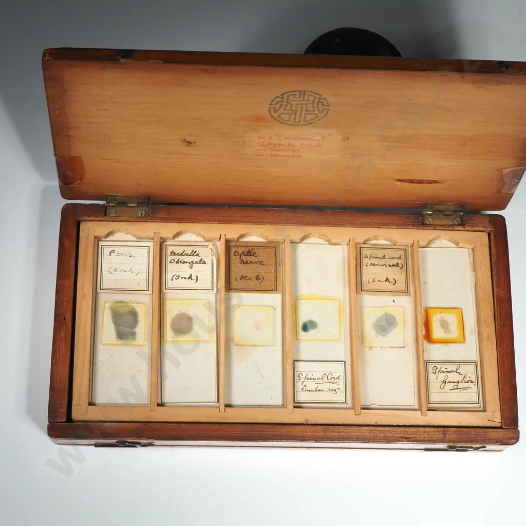 Antique Victorian Wooden Microscope Slide Box - Sections of Human Neuro - Anatomy Image 1++