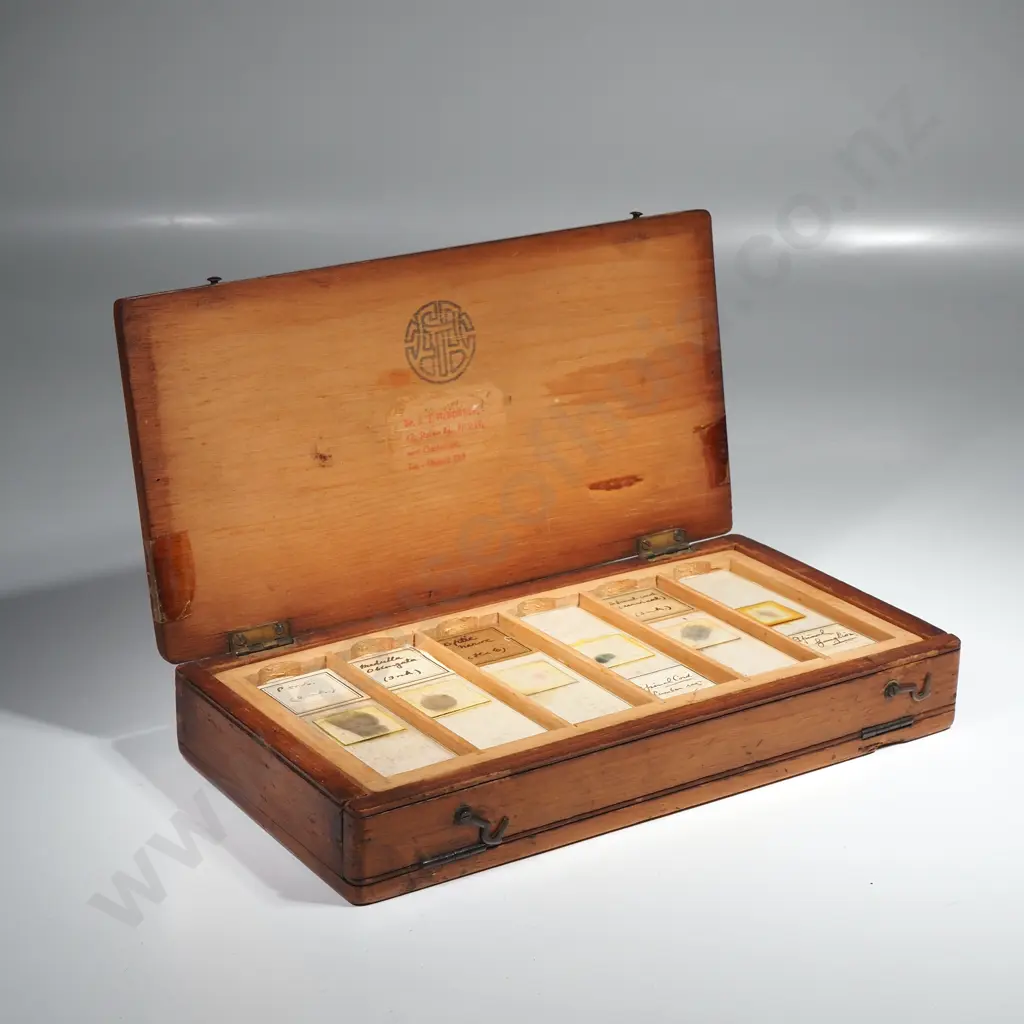 Antique Victorian Wooden Microscope Slide Box - Sections of Human Neuro - Anatomy Image 1++