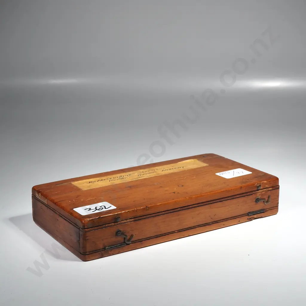 Antique Victorian Wooden Microscope Slide Box - Sections of Human Neuro - Anatomy Image 1++