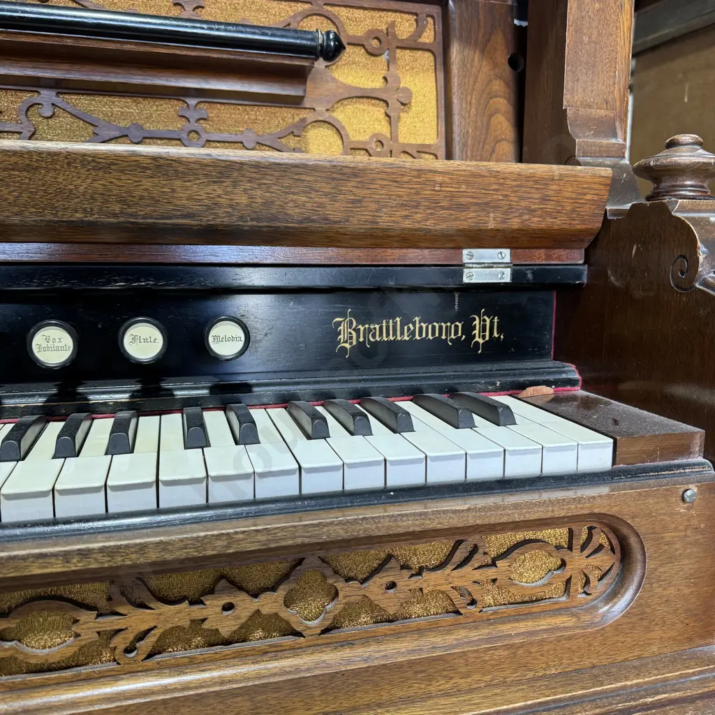 Antique Estey & Co Parlor Pump Organ w Intricate Carved Detail & Foot Pedal Driven Bellow & Keyboard w Multiple Stops Image 1++