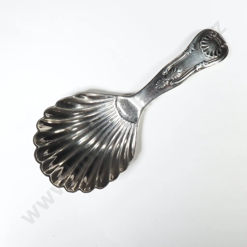 Georgian Sterling Silver Tea Caddy Spoon w Shell Bowl. Image 1++