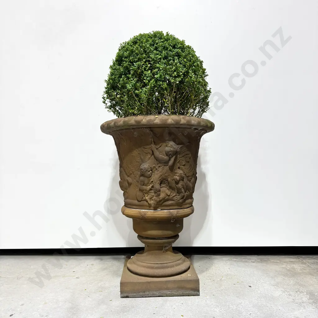 Large Classical Style Terracotta Planter Urn w Figural  Relief on a Pedestal Base Complete w Ball Shaped  Buxus Image 1++