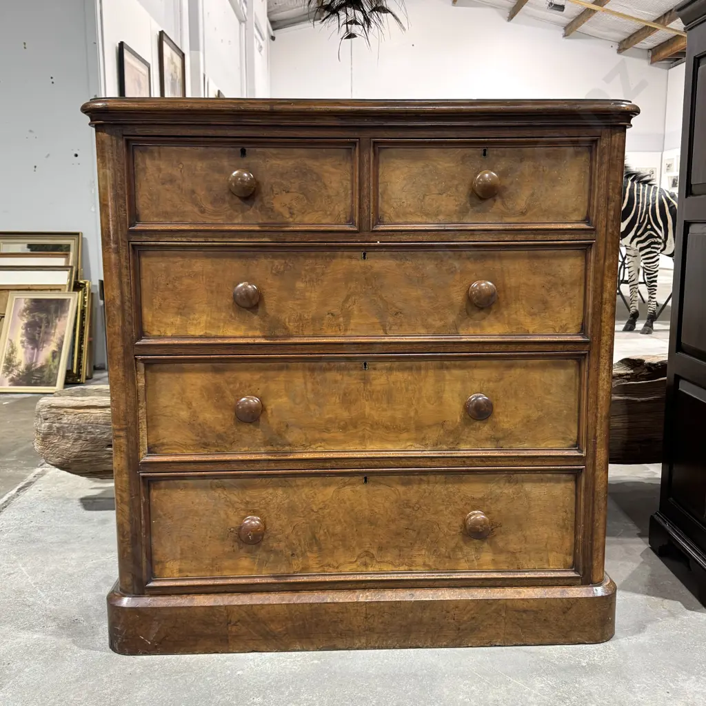 Victorian Burr  Walnut Chest of Five Drawers w Moulded Drawer Fronts, Curved Edge & Wooden Knobs Image 1++