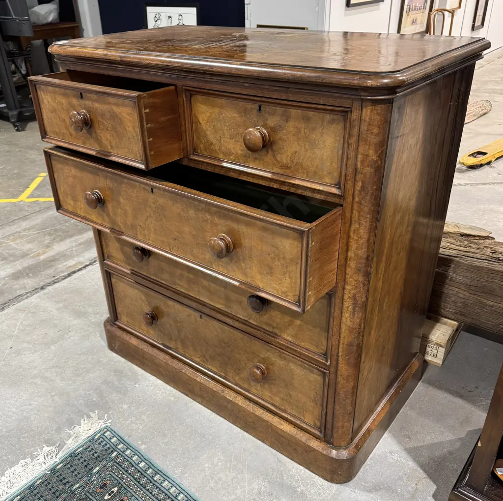 Victorian Burr  Walnut Chest of Five Drawers w Moulded Drawer Fronts, Curved Edge & Wooden Knobs Image 1++