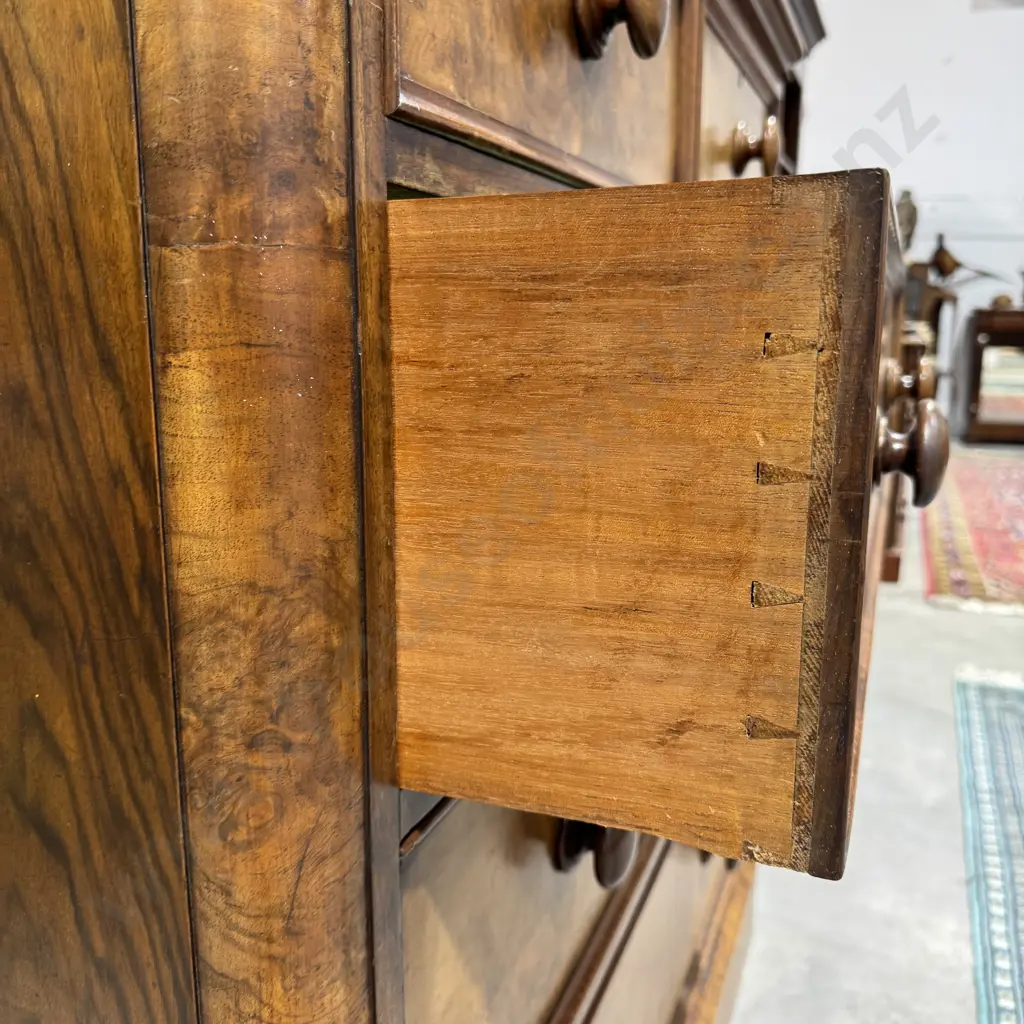 Victorian Burr  Walnut Chest of Five Drawers w Moulded Drawer Fronts, Curved Edge & Wooden Knobs Image 1++