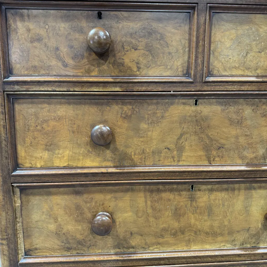 Victorian Burr  Walnut Chest of Five Drawers w Moulded Drawer Fronts, Curved Edge & Wooden Knobs Image 1++