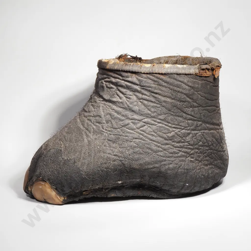 Antique Taxidermy Elephant Foot Wastepaper Bin Image 1++