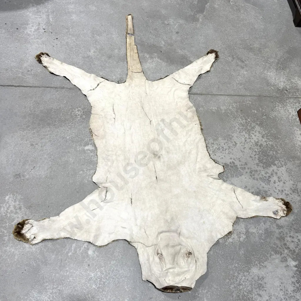 Jaguar Hide Floor Rug Image 1++