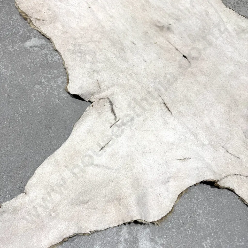 Jaguar Hide Floor Rug Image 1++