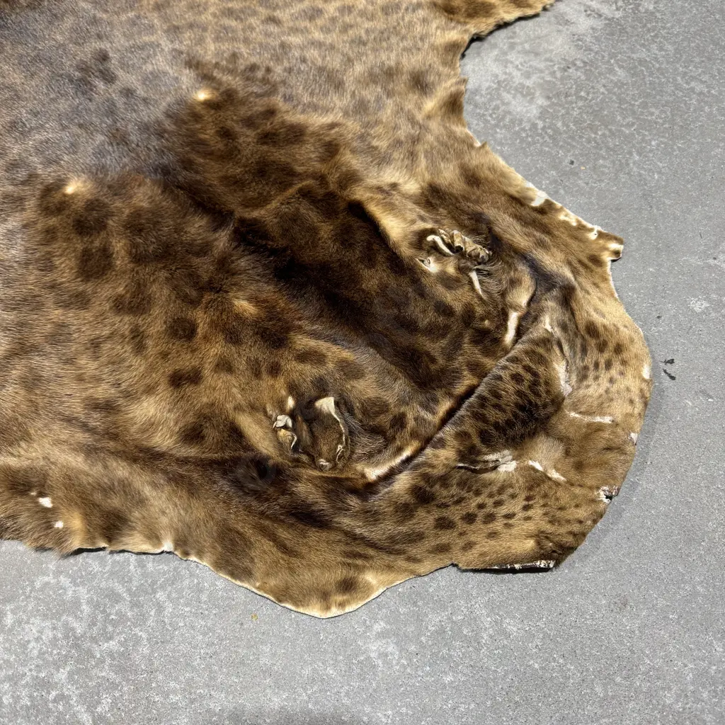 Jaguar Hide Floor Rug Image 1++