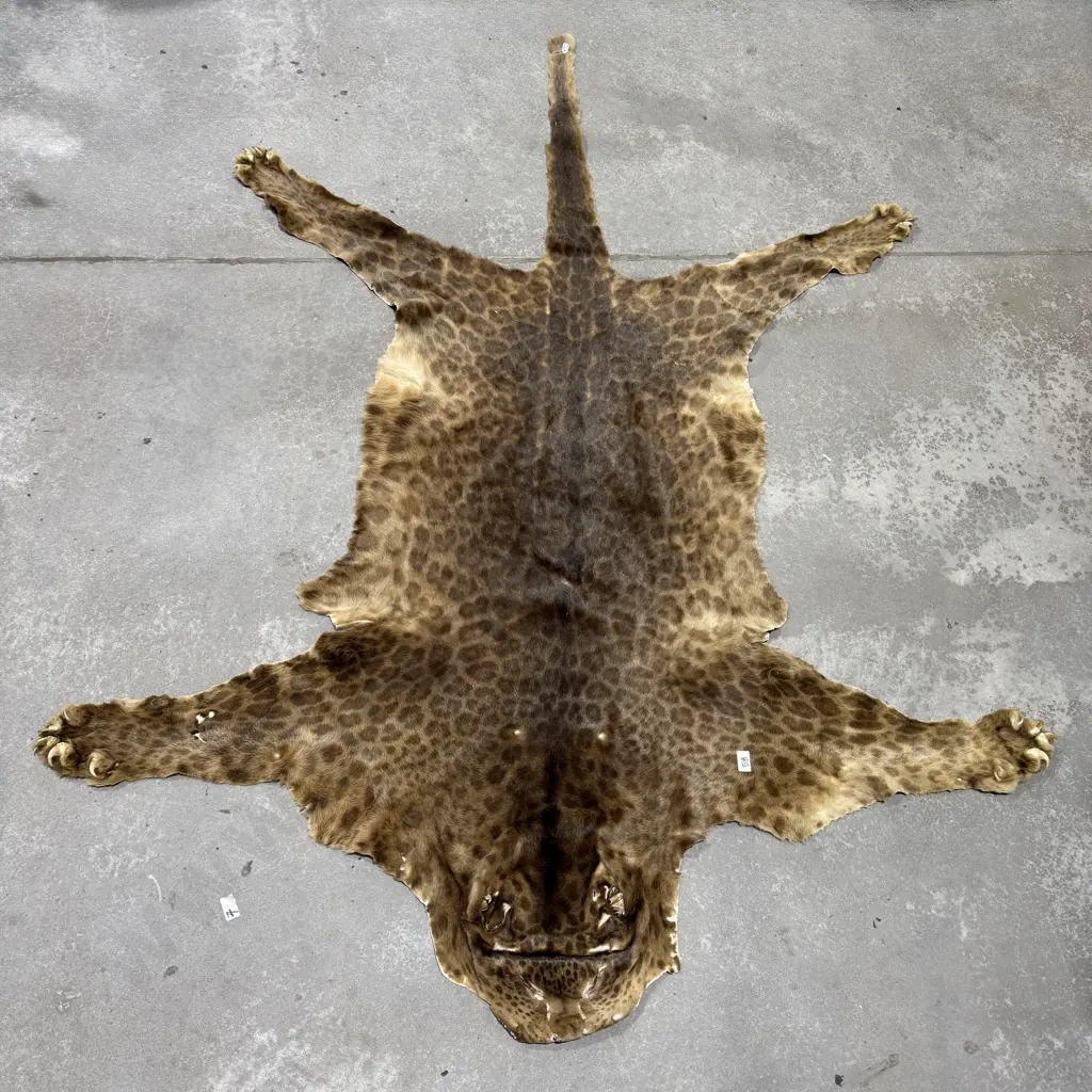 Jaguar Hide Floor Rug Image 1++