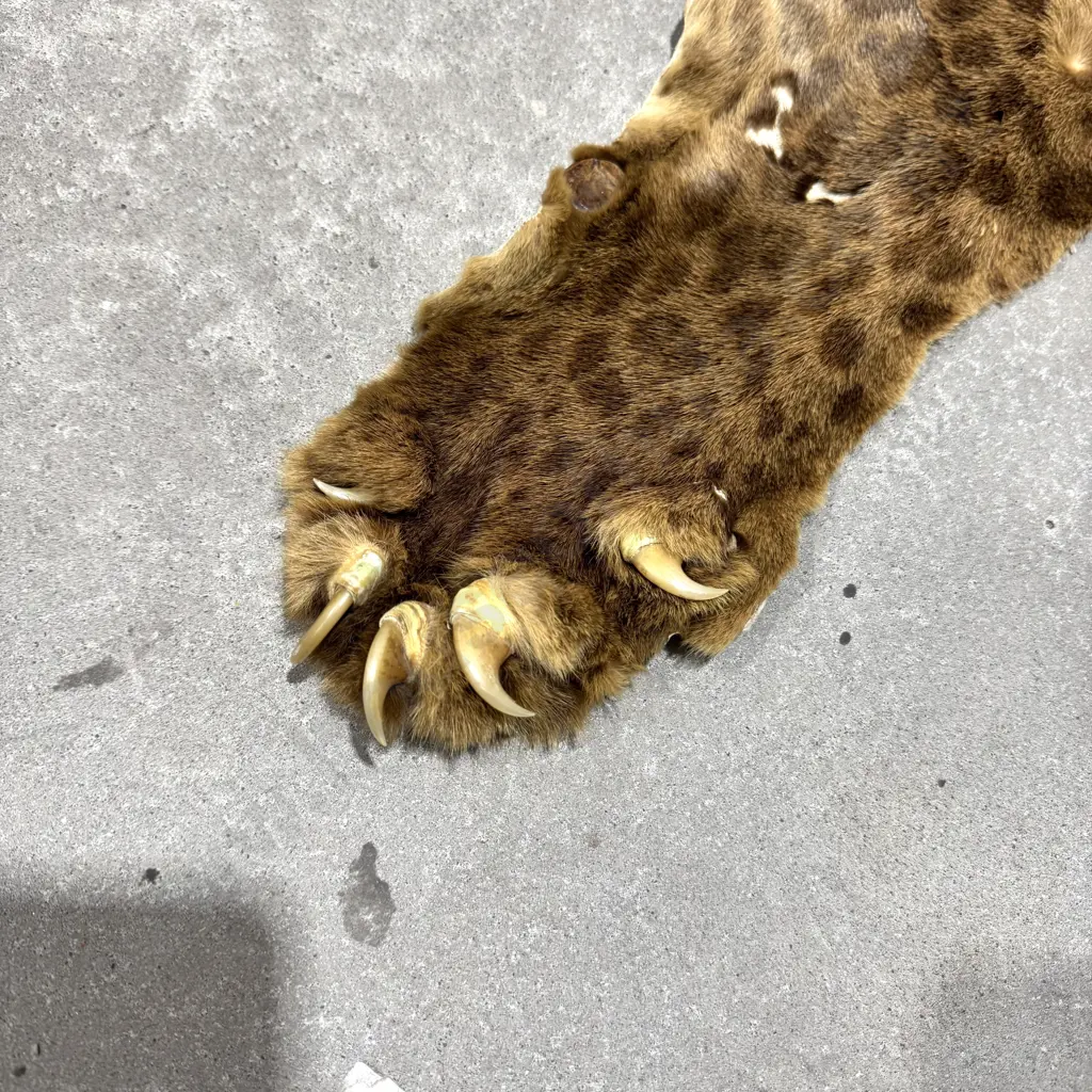 Jaguar Hide Floor Rug Image 1++