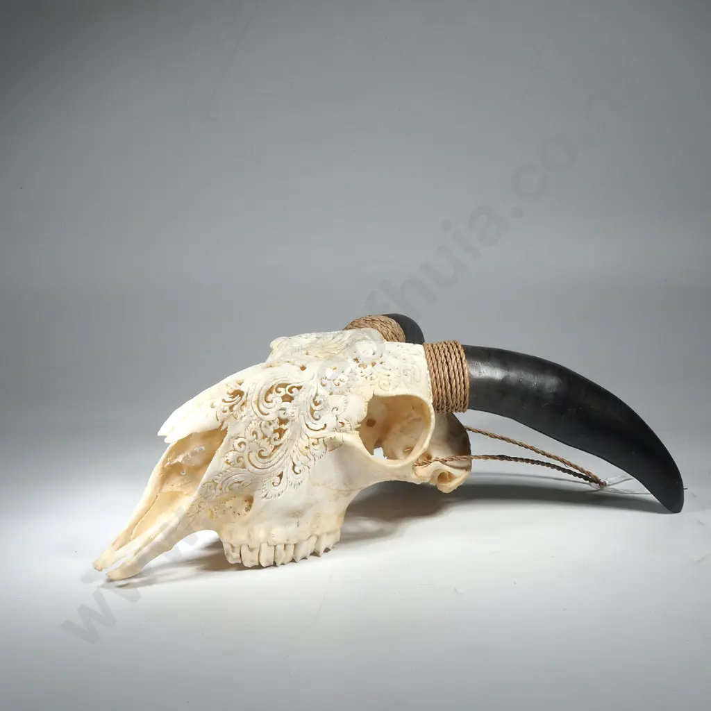 Intricately Carved Goat Skull Image 1++