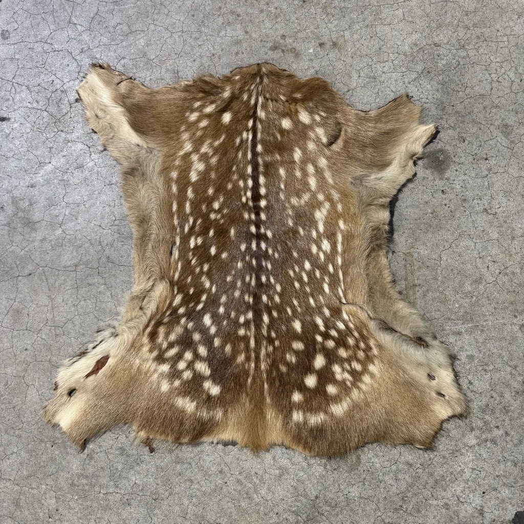 Tan Spotty Fallow Fawn Skin Image 1++