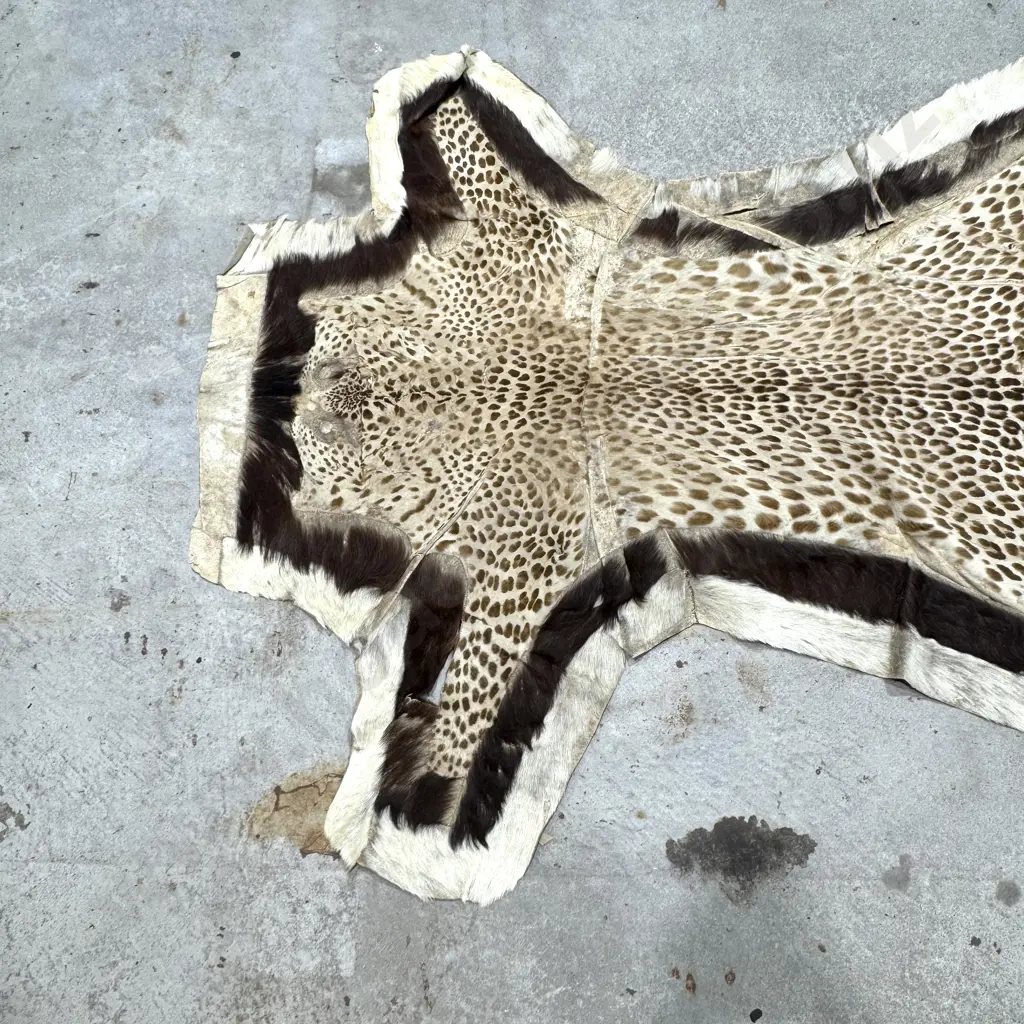 Antique Big Cat Pelt Rug Image 1++